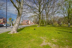DSC01014-HDR copy.jpg